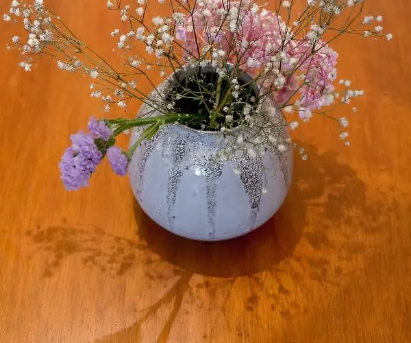 Apartman Bright & Spacious Alfama Apartment, By Timecooler